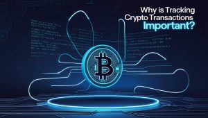 Why Is Tracking Crypto Transactions Important?