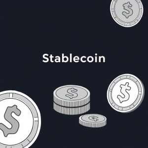  Risks and Limitations of Stablecoins for Business Use